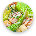 Napa Cabbage